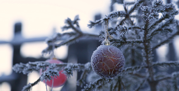 Decorated Christmas Tree Outside