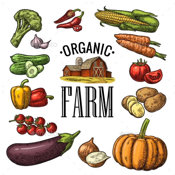 Set Vegetables and Organic Farm Lettering - Food Objects