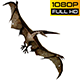 Pteranodon 2 Realistic Pack 3 - VideoHive Item for Sale