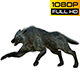 Wolf 1 Realistic Pack 3 - VideoHive Item for Sale