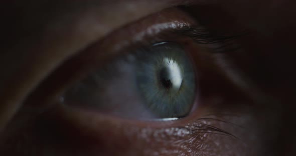 Extreme close up of an eye alt