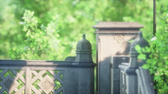 Peaceful Park in the City alt