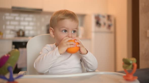 Little Happy Cute Baby Toddler Boy Blonde Sitting on Baby Chair Playing with Orange