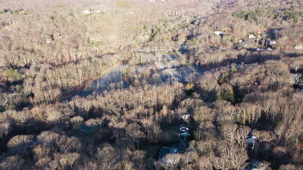 An aerial view over dry, bare, brown trees on a sunny day. The drone camera dolly in, slightly tilte alt