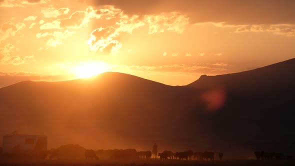 Husbandry Nature alt