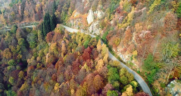 Forward Aerial Top View Over Car Travelling on Road in Colorful Autumn Forest alt