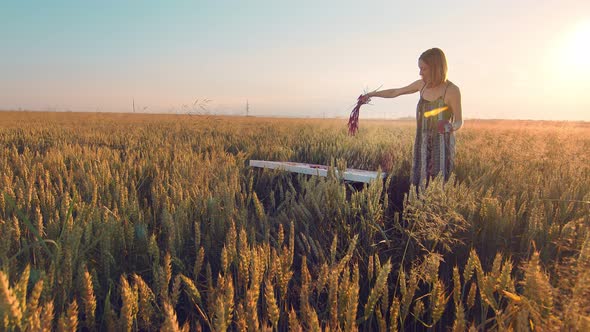 Woman Artist Who Paints a Picture of Ears of Wheat at Sunset. The Artist Paints a Picture with Ears alt