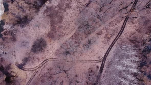 Aerial top down view of a forest with dirt roads in early spring.