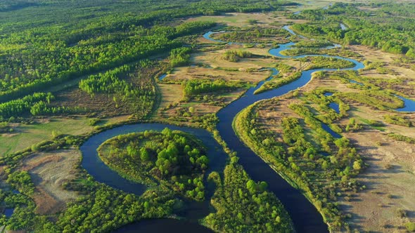 Aerial View Green Forest Woods And Curved River Landscape In Sunny Spring Day alt