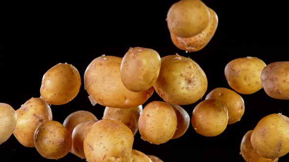 Super Slow Motion Shot of Flying Potatoes Isolated on Black Background at 1000 Fps alt