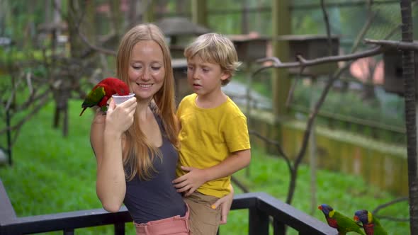 Super Slowmotion Shot of a Mother and Son in a Bird Park Feed a Group of Green and Red Parrots with alt