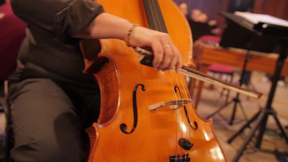 Unidentified Male Man Cellist Playing the Cello on Stage. Concert