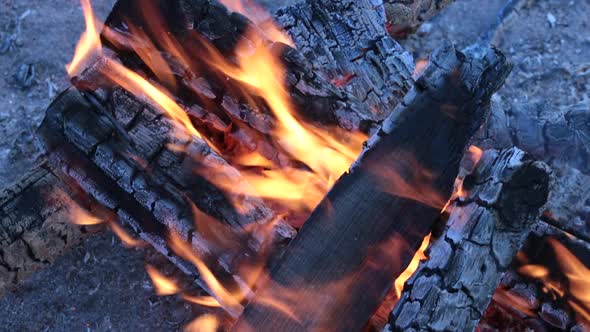 Burning Firewood at Campfire.