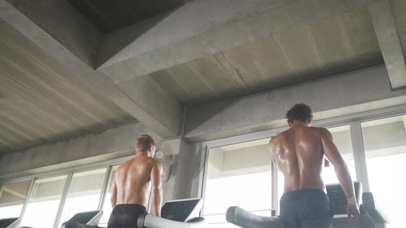 Strong man training workout exercise in fitness gym, sport body muscular bodybuilding lifestyle alt