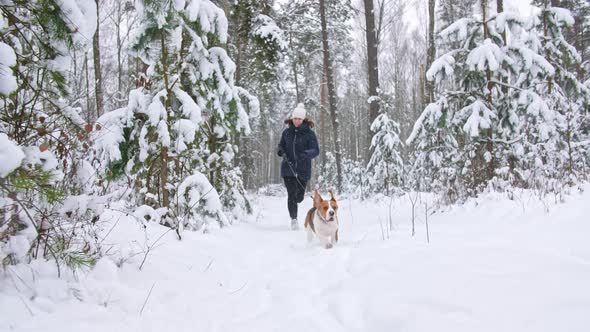 Happy Beagle Dog Is Running with His Female Owner During the Walk in the Snowy Winter Forest alt