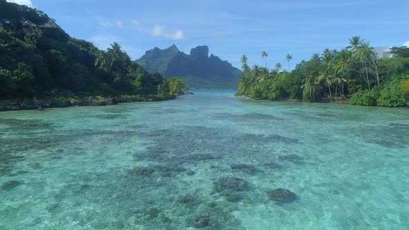 A woman swimming in a tropical green lagoon in Bora Bora tropical island alt