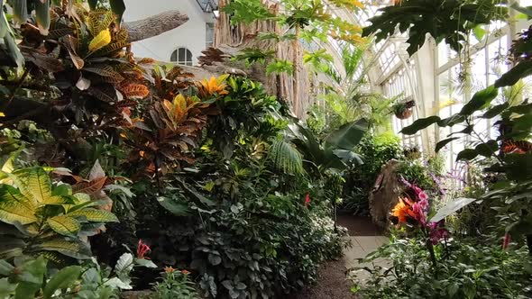 Walking Through Beautiful Butterfly House In Vienna, Austria. - Handheld, Forward Shot alt