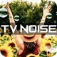 TV Noise Overlay - VideoHive Item for Sale