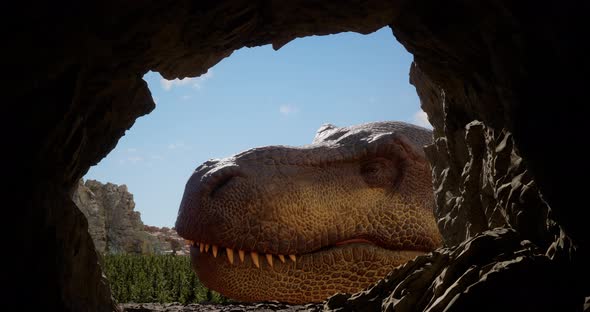 Rex Tyrannosaurus Dinosaur Peeks Into a Cave in Search of Food