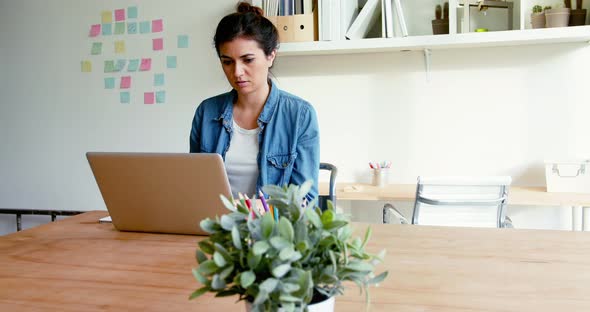 Female executive sitting at desk and using laptop alt