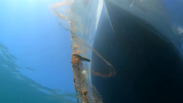 Caught Fish in Net Hanging From Boat Under Sea