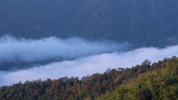 Landscape of greenery rainforest mountains and hills with the sea of fog