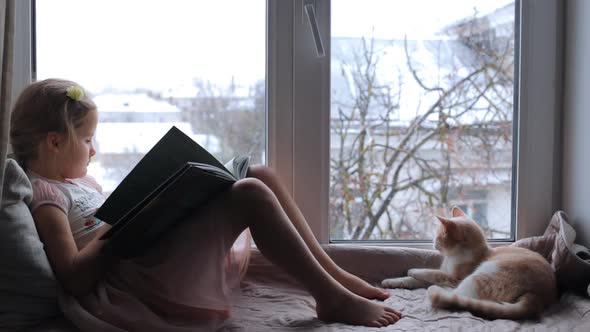 Child Reads a Book By the Window, and a Cat Sits Nearby