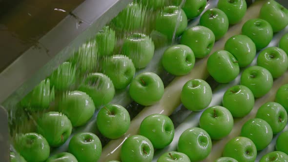 Industrial Farming, Processing and Storage of Apple Washing Fruits alt