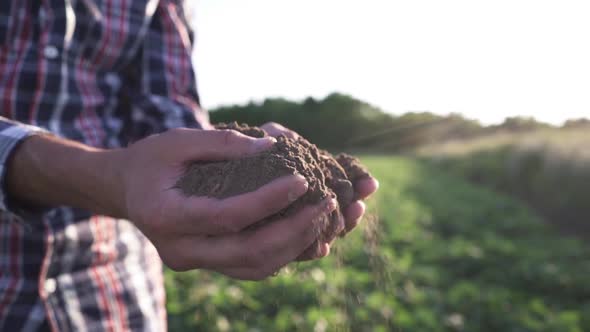 Close Up of Male Hands Touching Dry Ground in an Agricultural Field Soil Cultivated Dirt Earth
