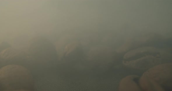 Closeup Macro Shot of Roasting Coffee Beans Filmed in a Dark Key the Smoke Emanating From the alt