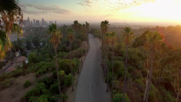 Aerial Drone Elysian Park Palm Trees Los Angeles Sunset 1 alt