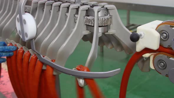 Production Of Sausages In A Meat Processing Factory alt