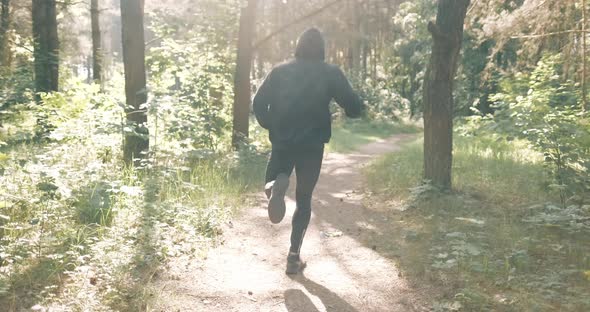 Slow Motion Shot of Man Running Through Pine Forest on Path in Woods. Runner Training Fitness and alt
