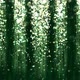 Abstract Deep Green Particle Confetti and Glitter Curtain 4k - VideoHive Item for Sale