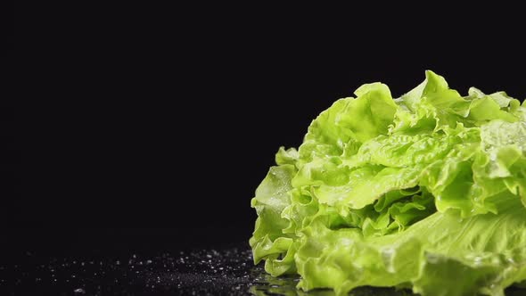 Splash - A Lettuce Bunch Falls On A Black Table