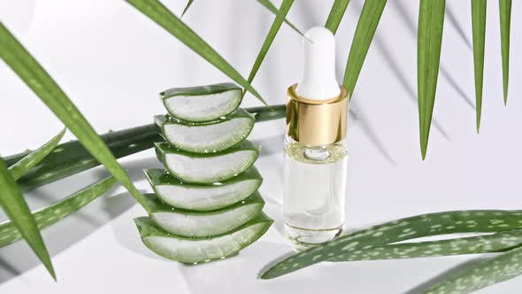 Motion of Aloe Vera Sliced Slices alt