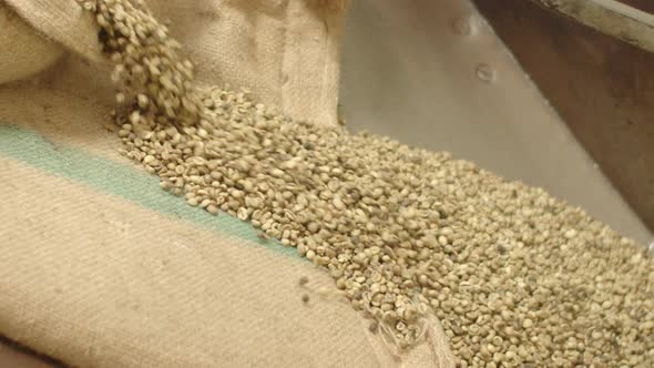 Static Shot of Raw Coffee Beans Spilling Out of Bag alt