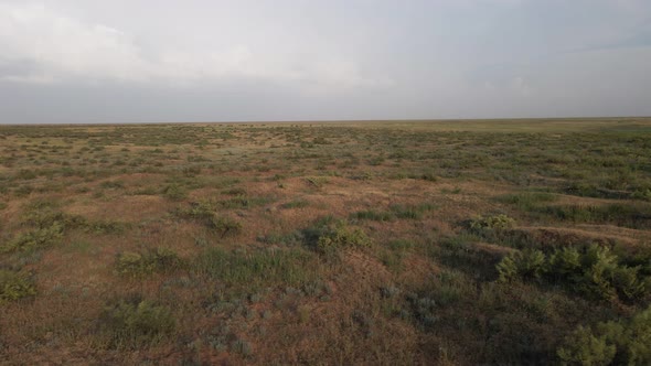 Horizonless Plain with Grass and Shrubs in Kalmykia Russia