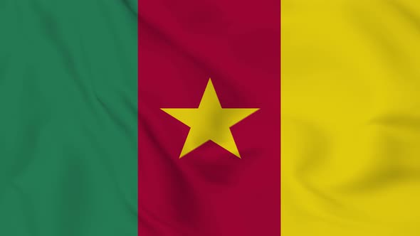 Cameroon  flag seamless closeup waving animation.  Vd 2059
