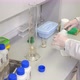 Analysis of a urine sample - VideoHive Item for Sale