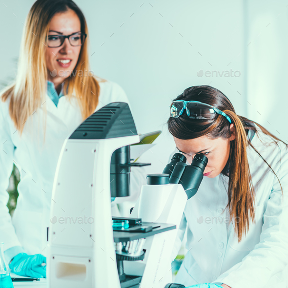 Scientists working in their lab - Stock Photo - Images