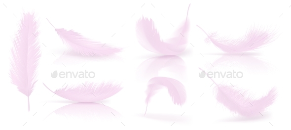Vector Realistic 3d Set of Pink Bird Feathers - Objects Vectors