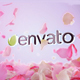Petals Reveal - VideoHive Item for Sale