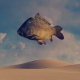 Desert and Fish - Surreal Scene - VideoHive Item for Sale