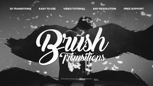 Paint Brush Transitions - VideoHive 21254214