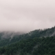 Misty Clouds on Tree Covered Mountains. - VideoHive Item for Sale