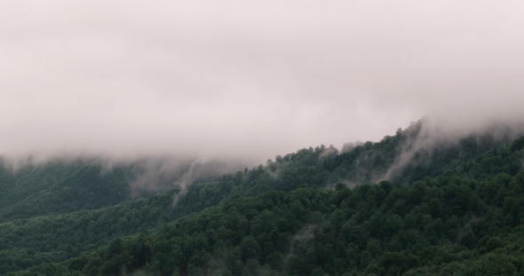 Misty Clouds on Tree Covered Mountains.