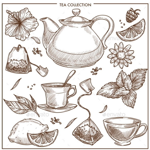Tea Collection - Food Objects