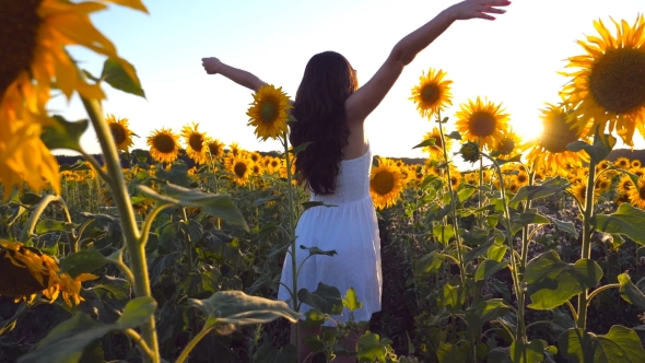 Young Girl Standing at the Field of Sunflowers and Raising Her Hands Up. Woman Enjoy By Landscape alt