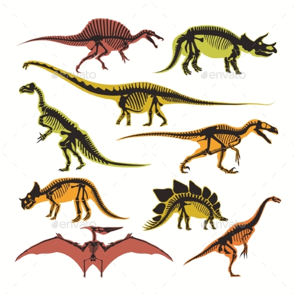 Dinosaurs Skeletons and Silhouettes Vector Flat - Animals Characters